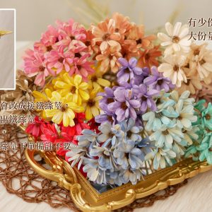 六_瓜子花 拷貝