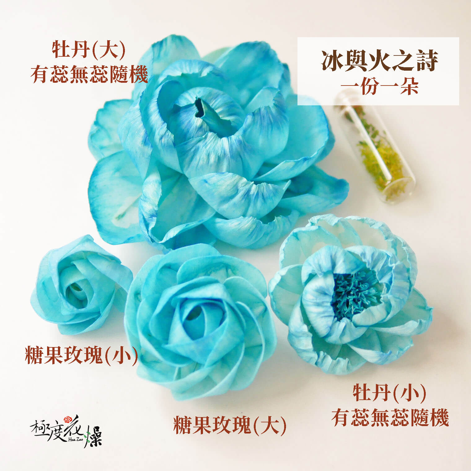 冰與火之詩_水染蓪草花