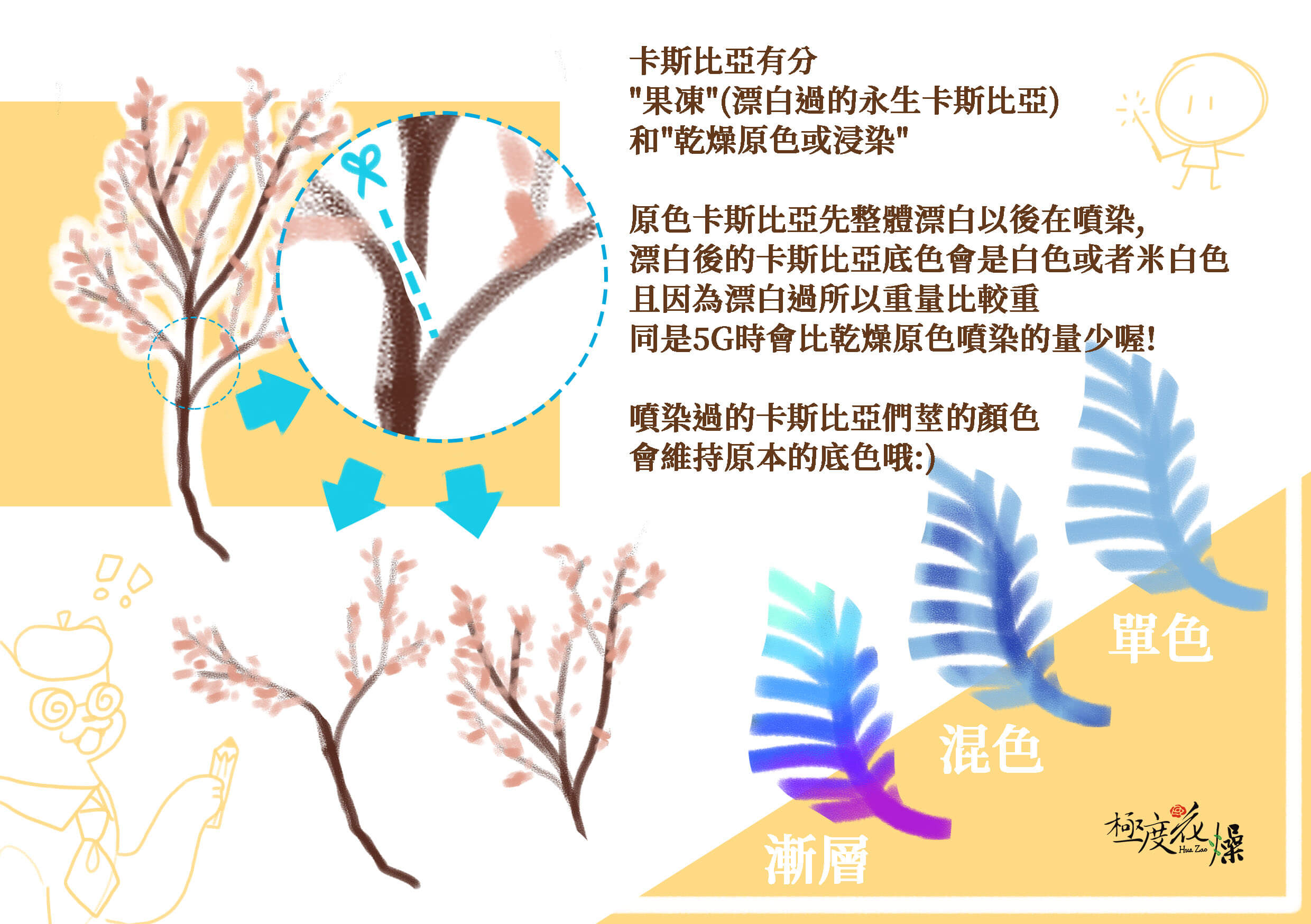 分裝剪裁_卡斯比亞