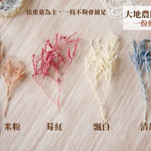 分裝規格_大地雪花 拷貝