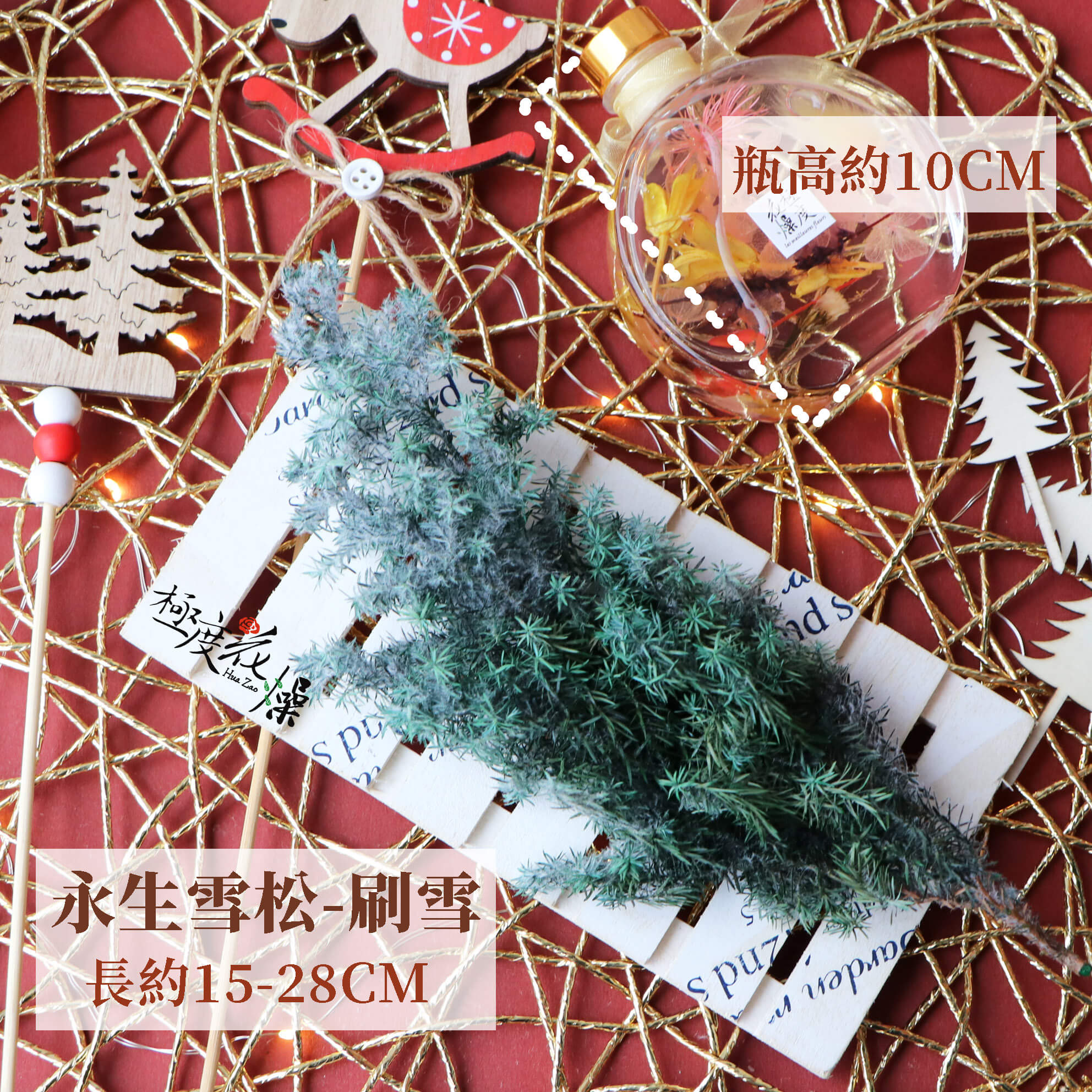 刷雪 _永生雪松