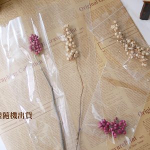 包裝_巴西胡椒果