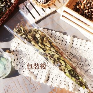 包裝 _樹蘭葉