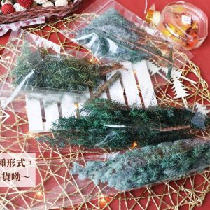 包裝 _永生雪松