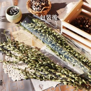 包裝 _金柳葉