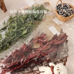 包裝 _馬醉木葉