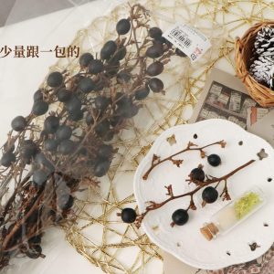 包裝 _黑莓果