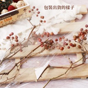 包裝_山歸來 拷貝