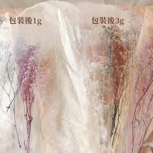 包裝比較_永生滿天星
