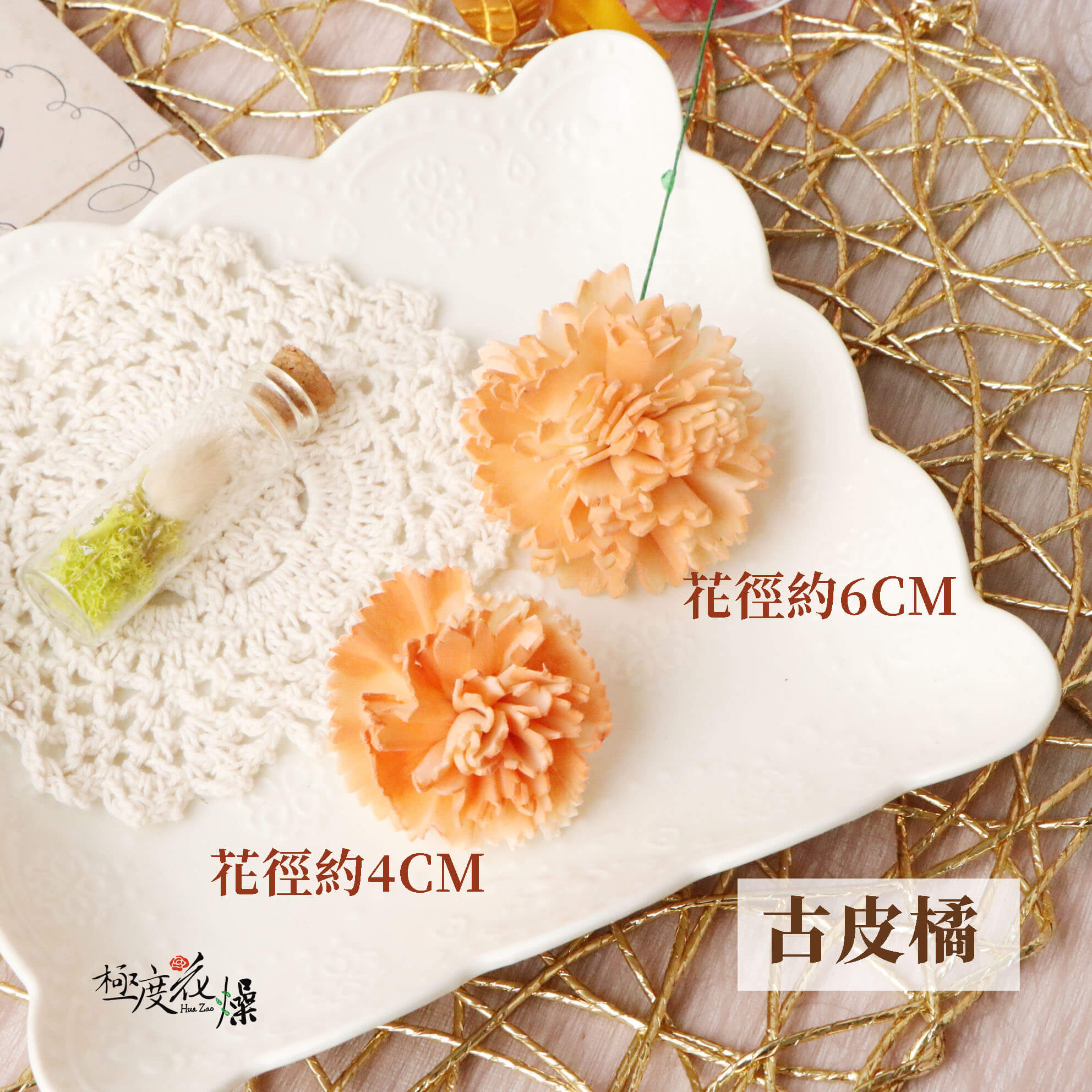 古皮橘 _蓪草雙色康乃馨