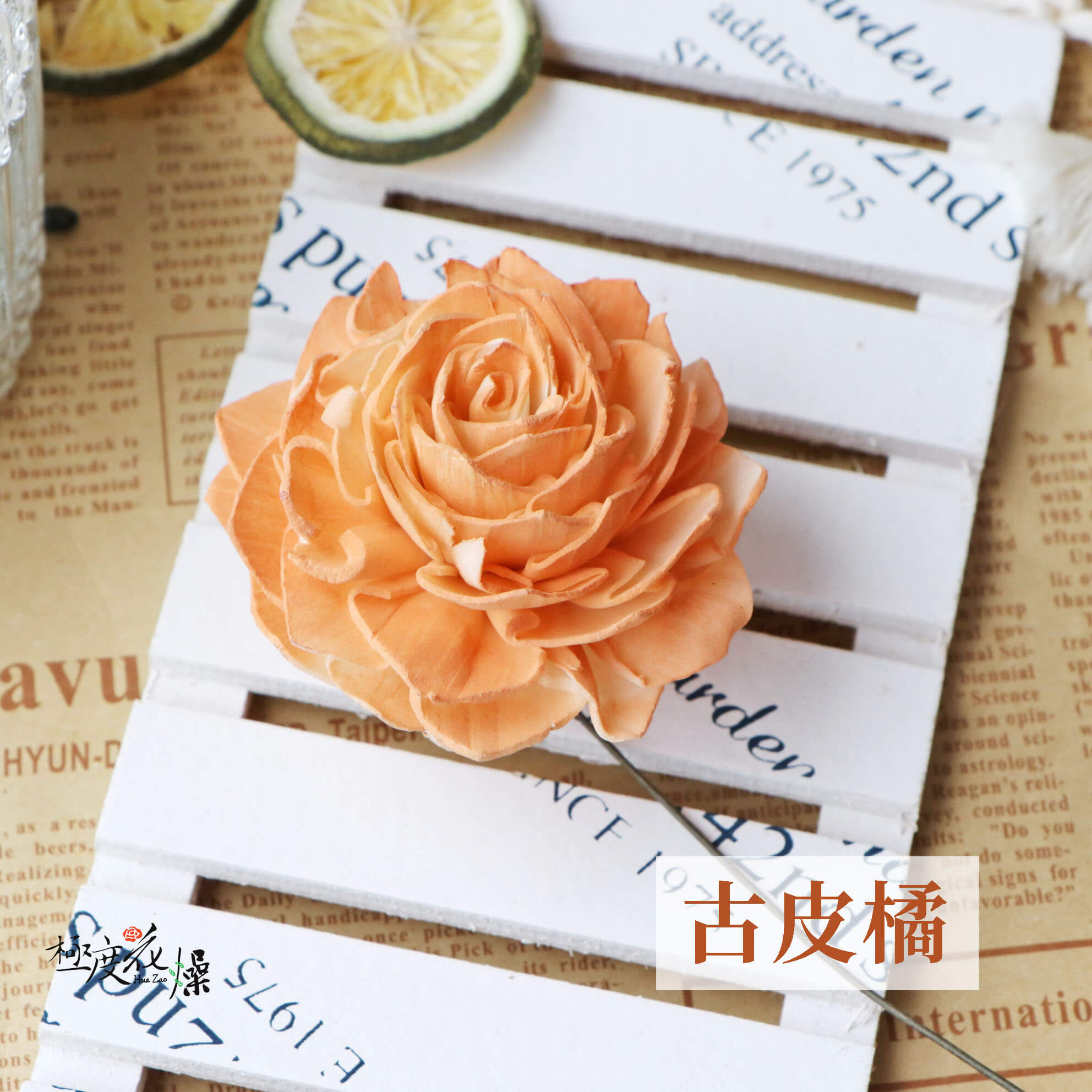 古皮橘 拷貝_大理花