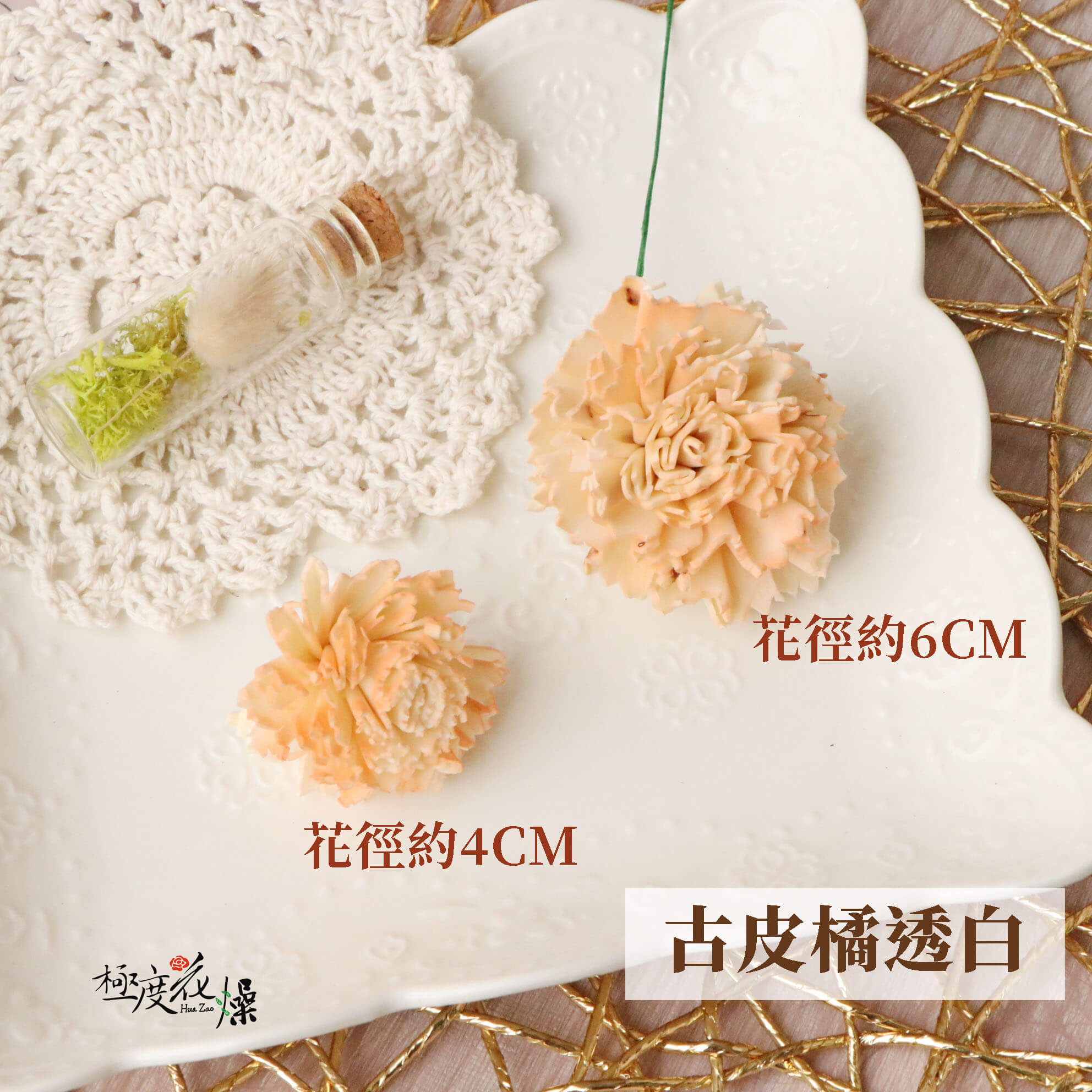 古皮橘透白 _蓪草雙色康乃馨