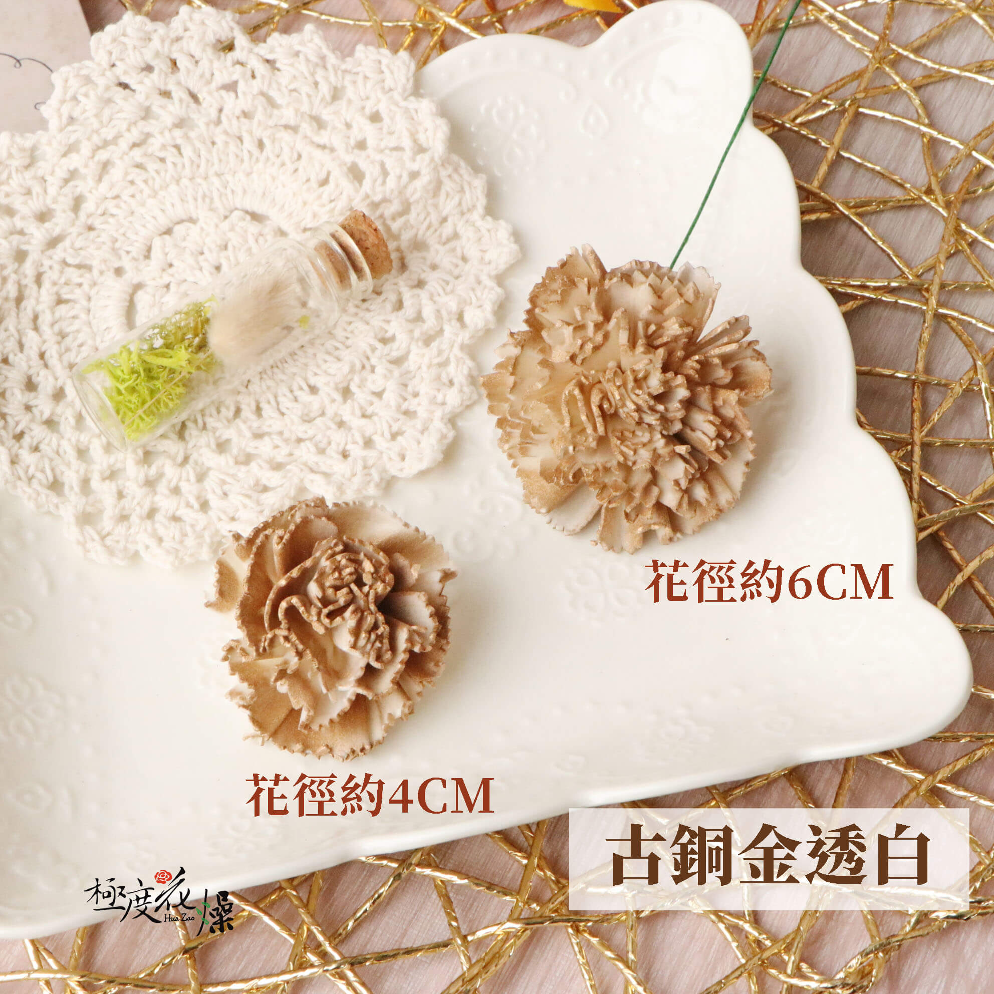 古銅金透白 _蓪草雙色康乃馨