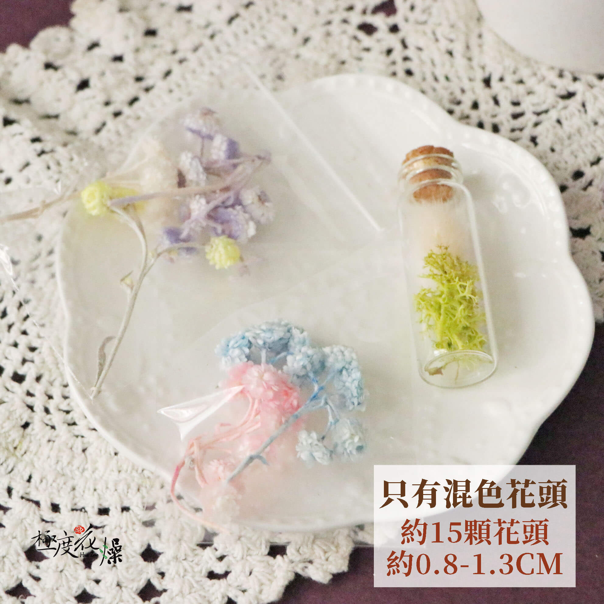 只有花頭_蠟菊