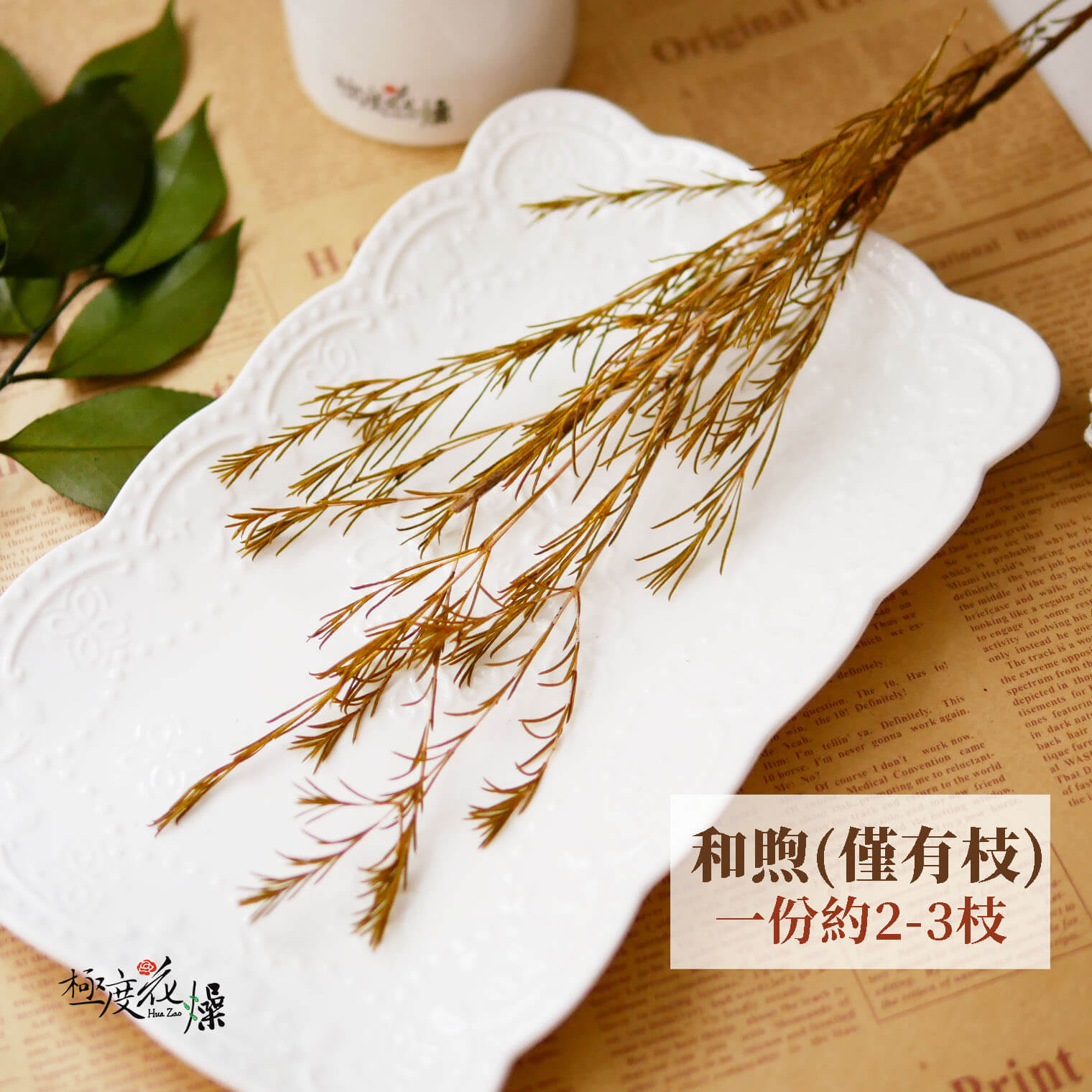和煦 _永生臘梅