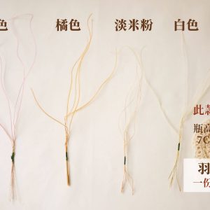 單枝色一_羽毛草 拷貝_21