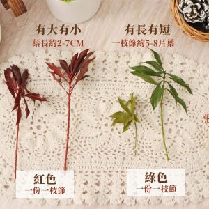 單枝規格 _馬醉木葉