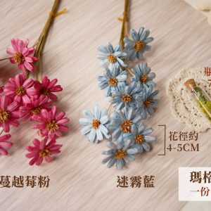 單枝規格_瑪格麗特 拷貝