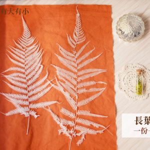 單枝規格_長葉蕨 拷貝