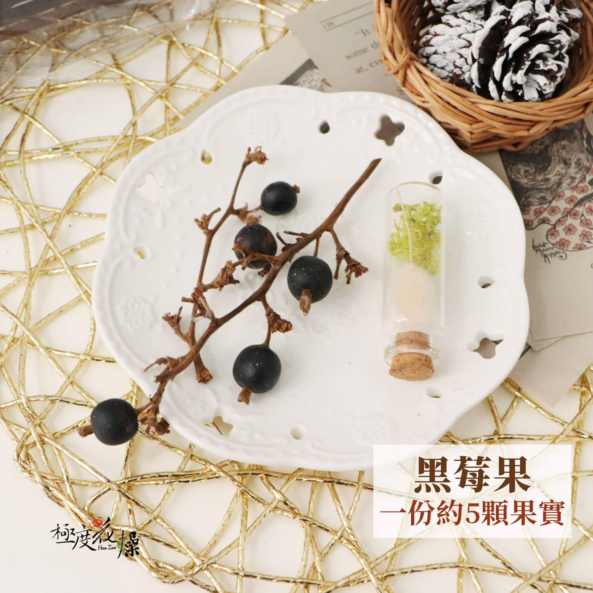 單枝選項 _黑莓果
