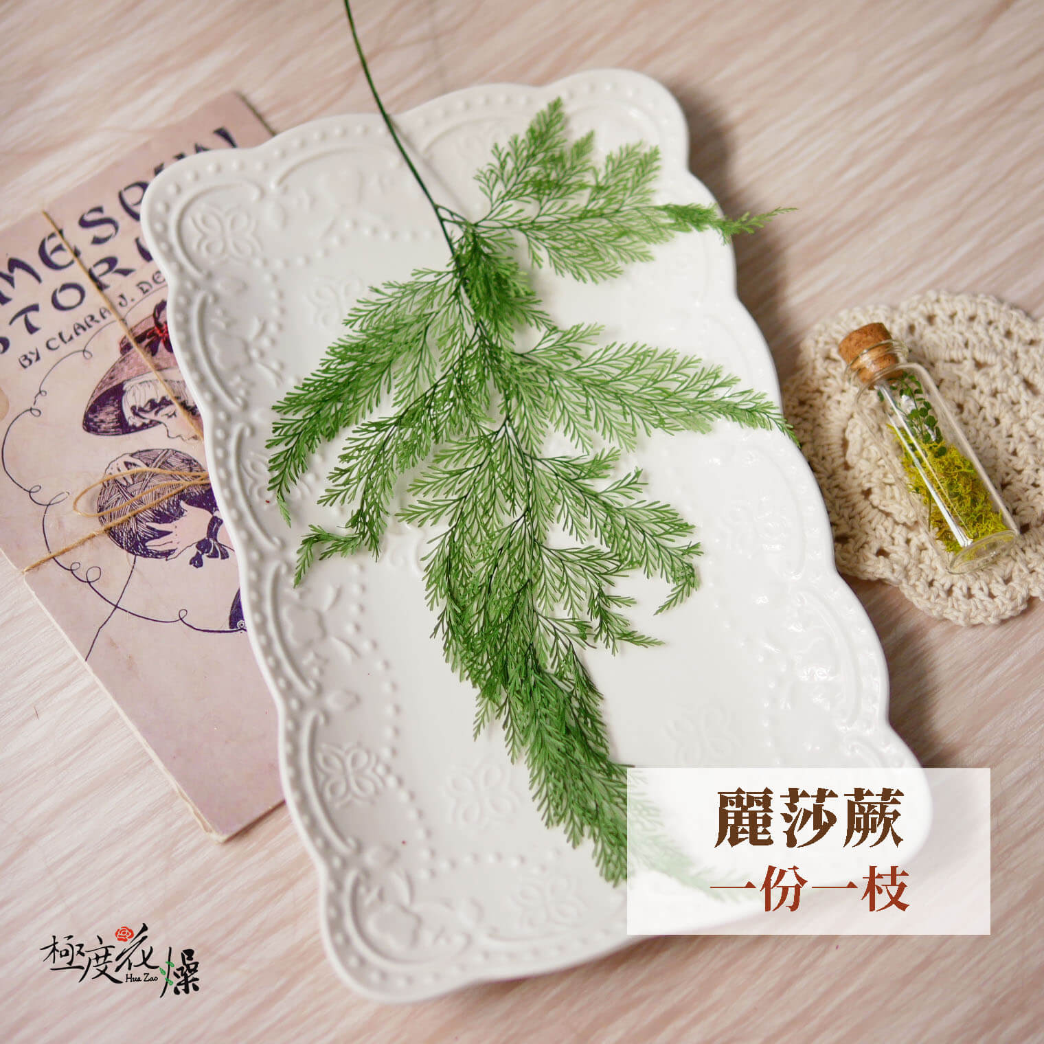 單枝選項_麗莎蕨 拷貝