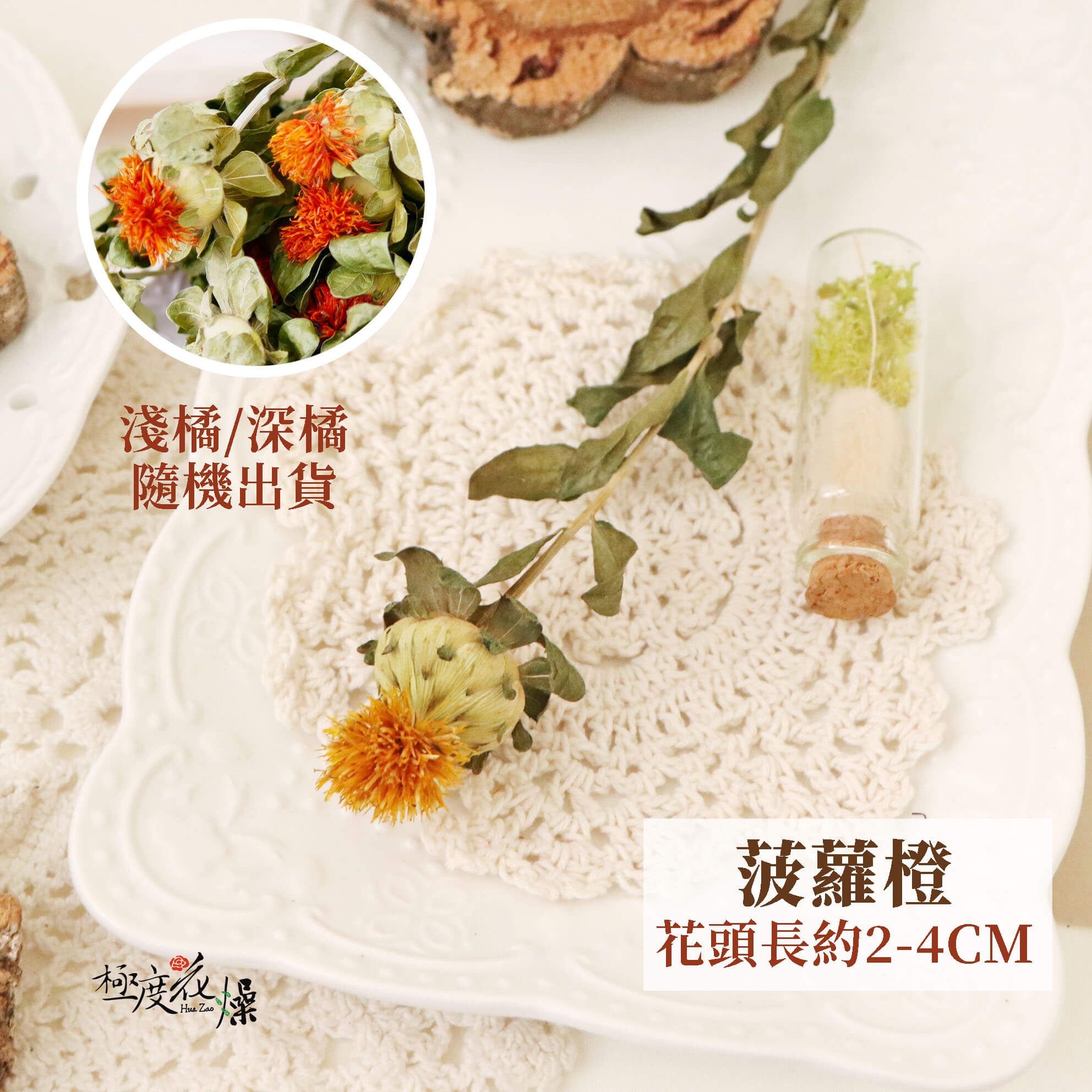 單選 _菠蘿橙