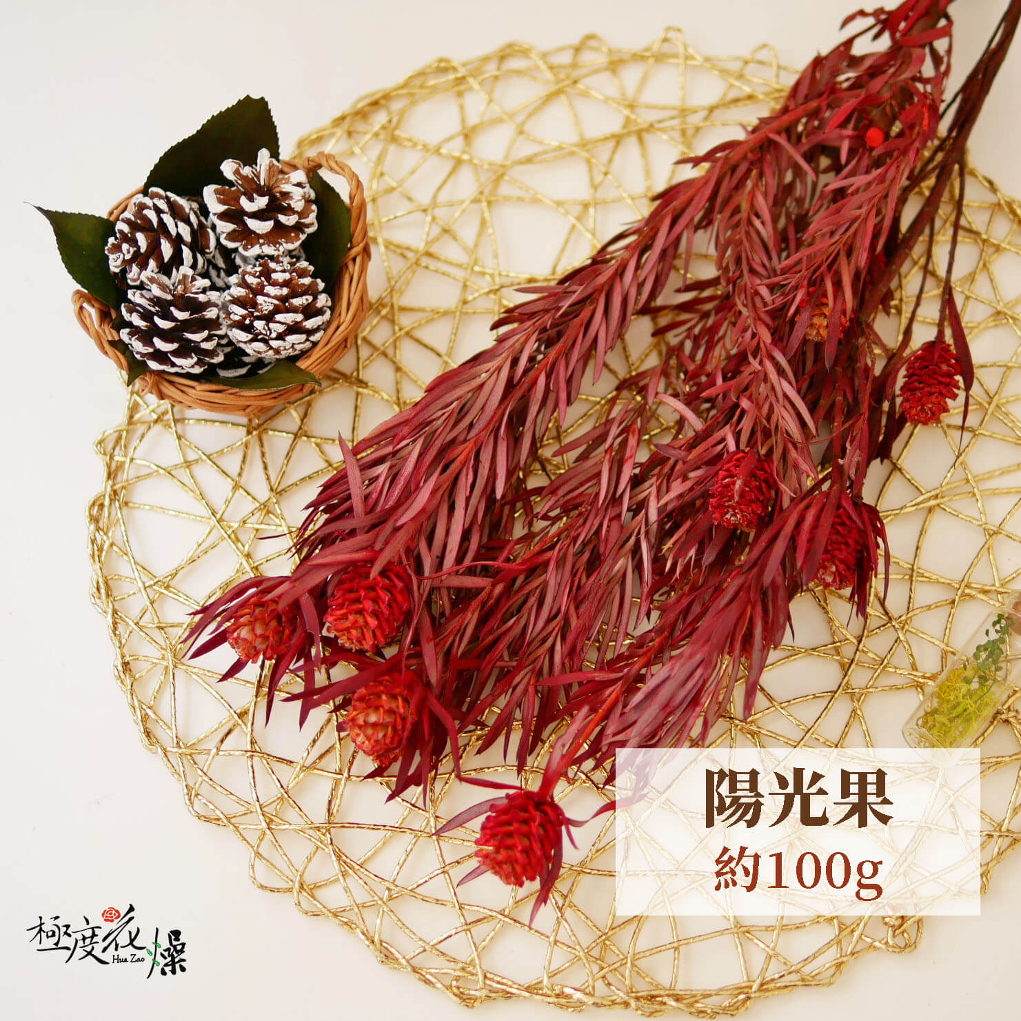 單選 _陽光果