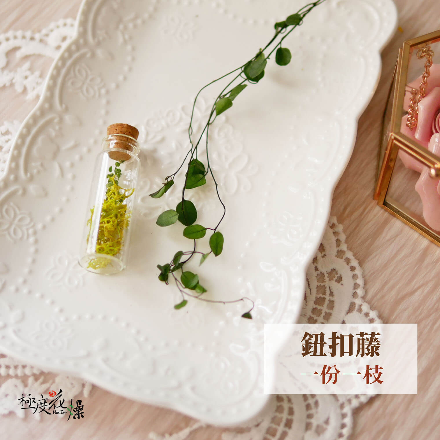 單選_鈕扣藤 拷貝234