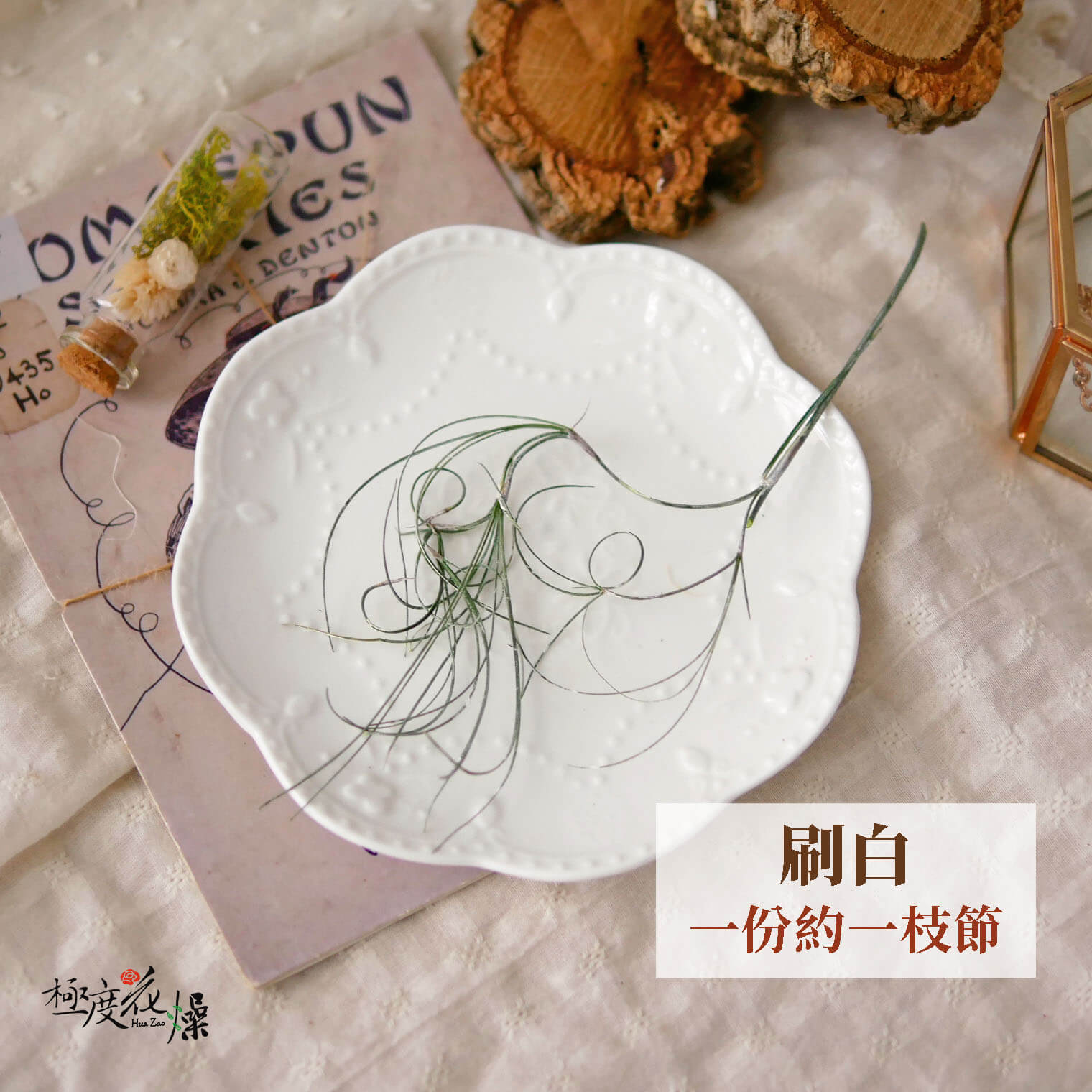 單選刷白_卷絲草 拷貝