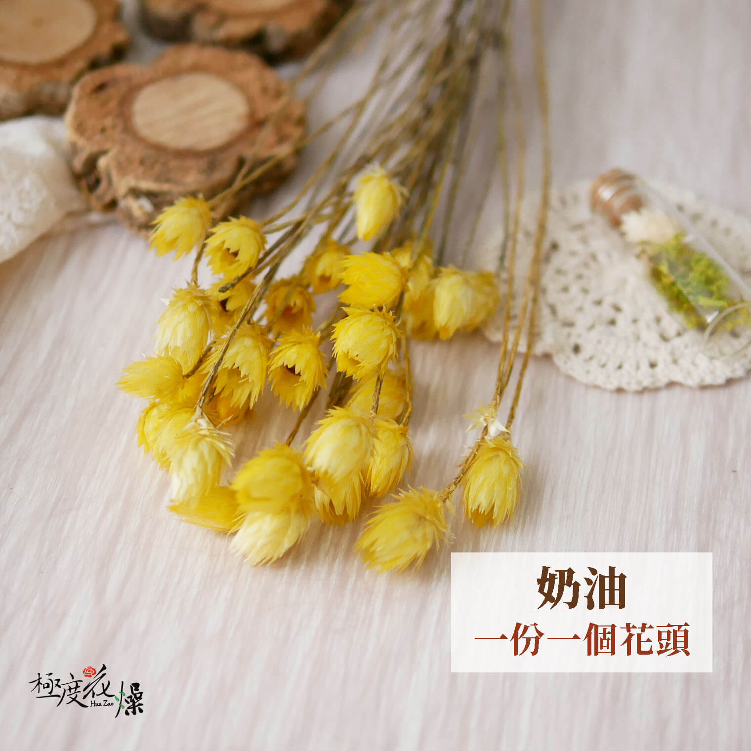 單選奶油_小銀雛菊 拷貝