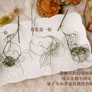 單選安全_卷絲草 拷貝