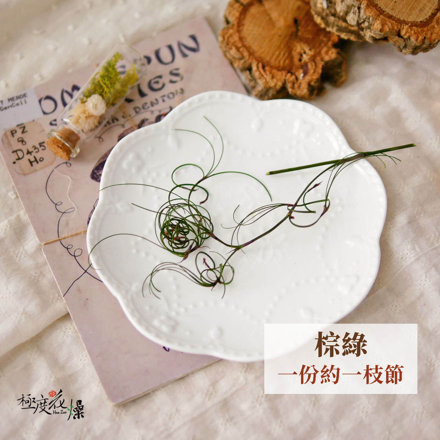 單選棕綠_卷絲草 拷貝