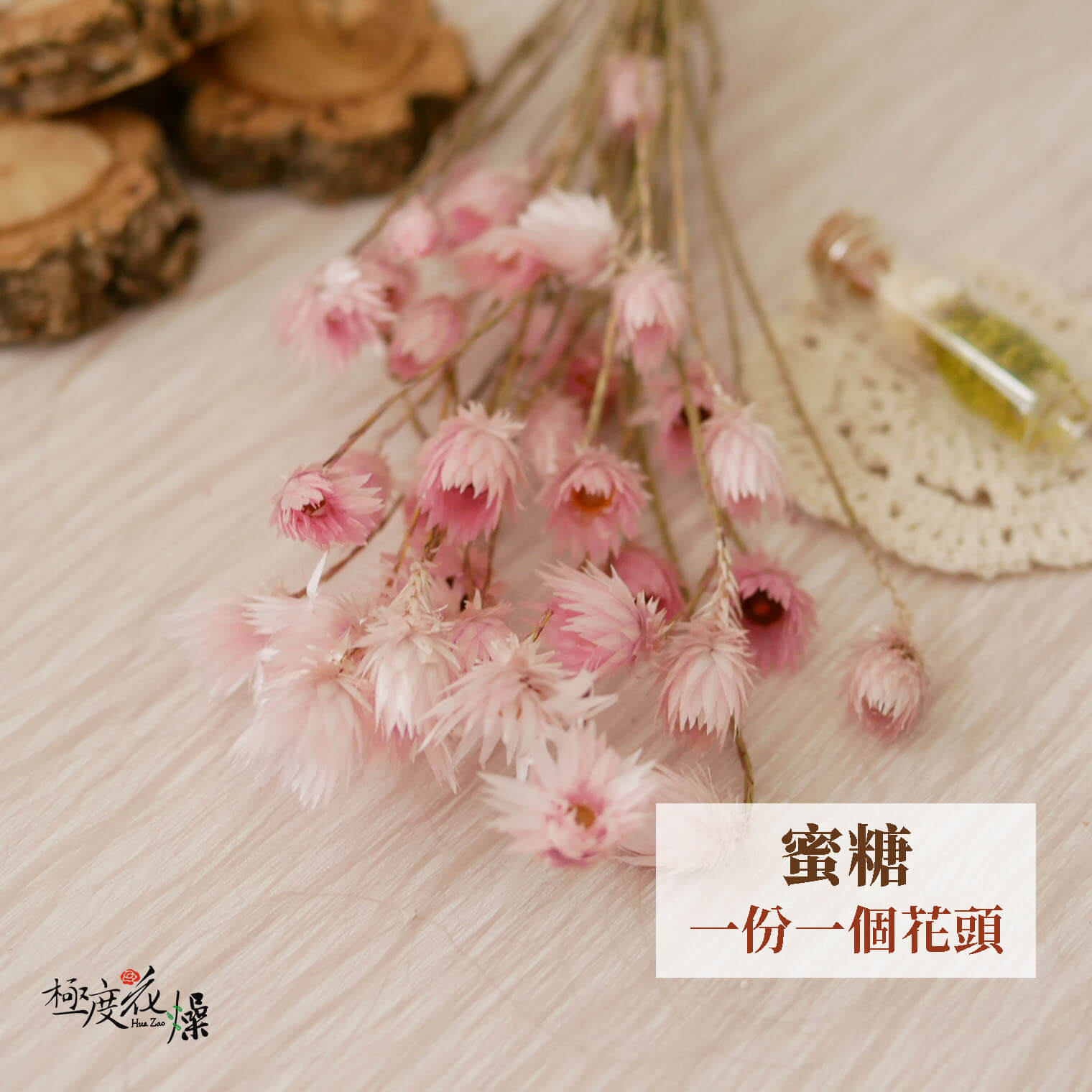 單選蜜糖_小銀雛菊 拷貝
