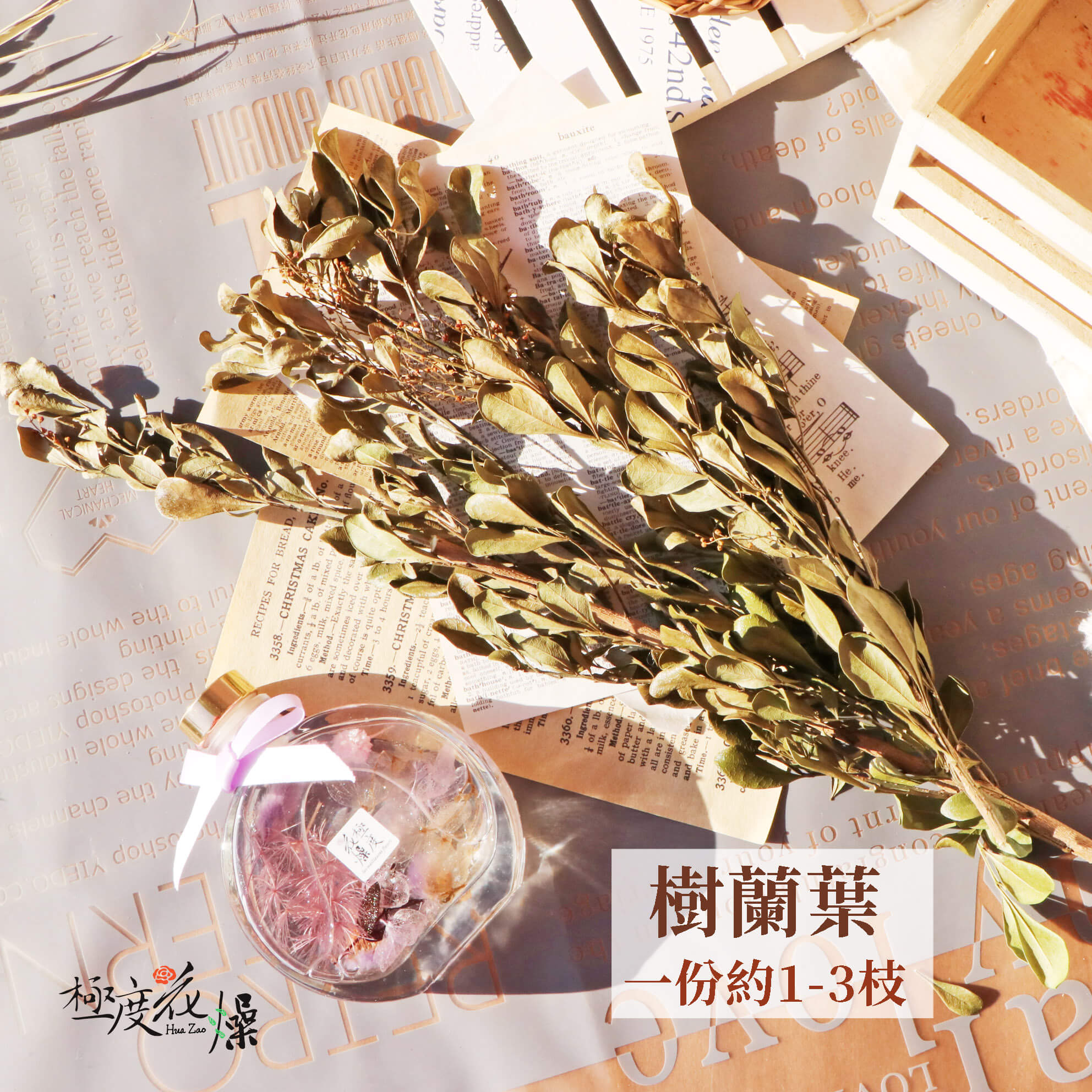 單選項 _樹蘭葉