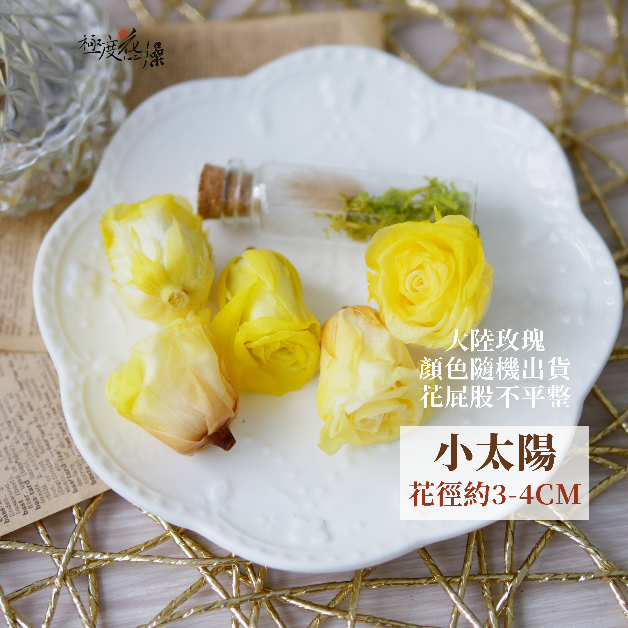 單選項_小太陽_大陸玫瑰 拷貝