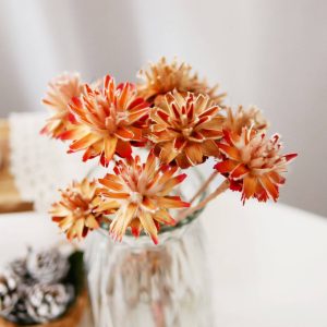 四 _羽毛菊