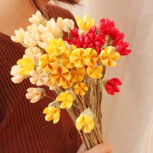四 _開心果花