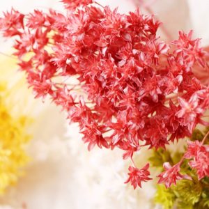 四_小山花
