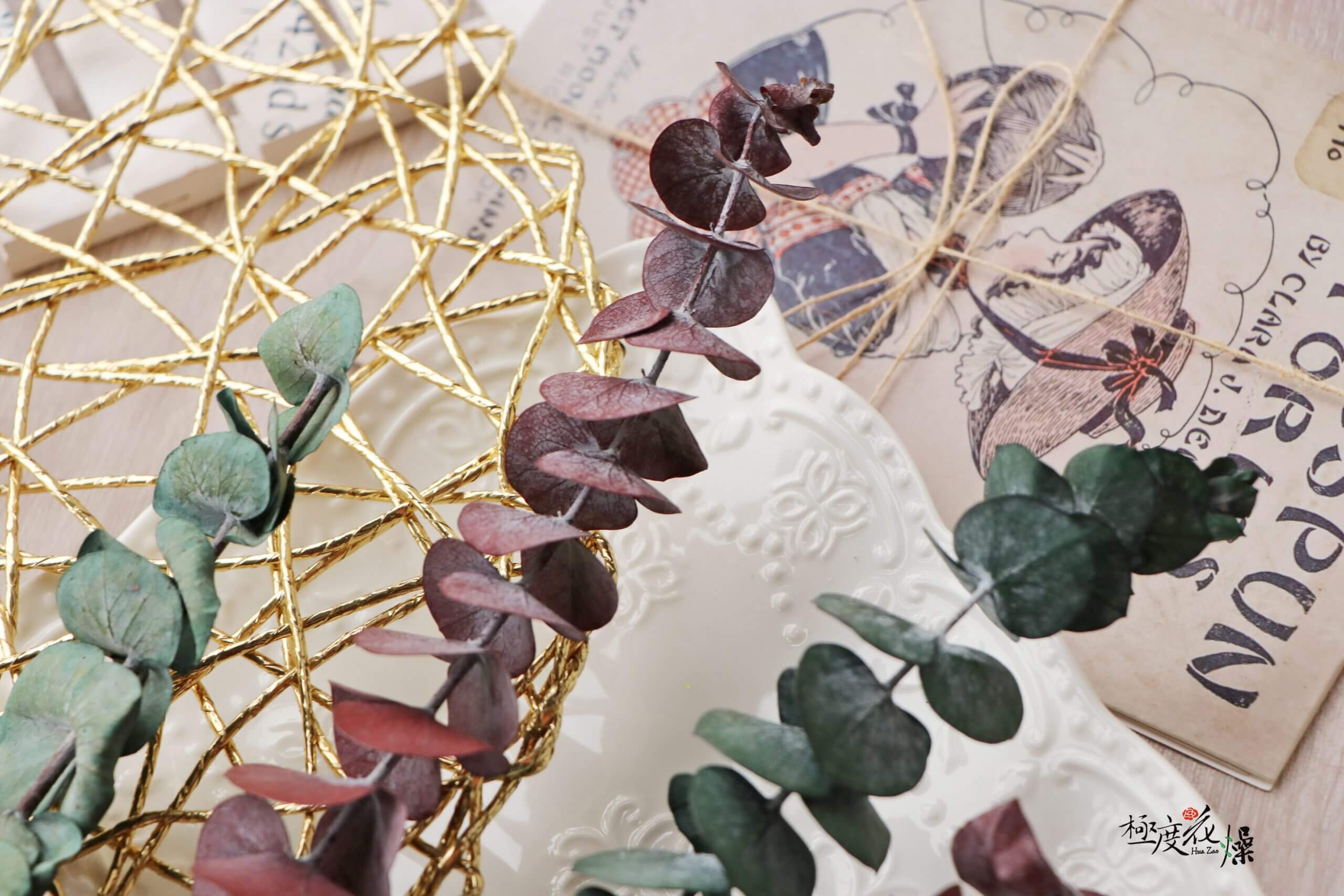 四_永生尤加利立體