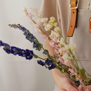 四_飛燕草 拷貝