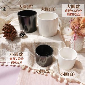 圓盆組_簡約陶瓷盆