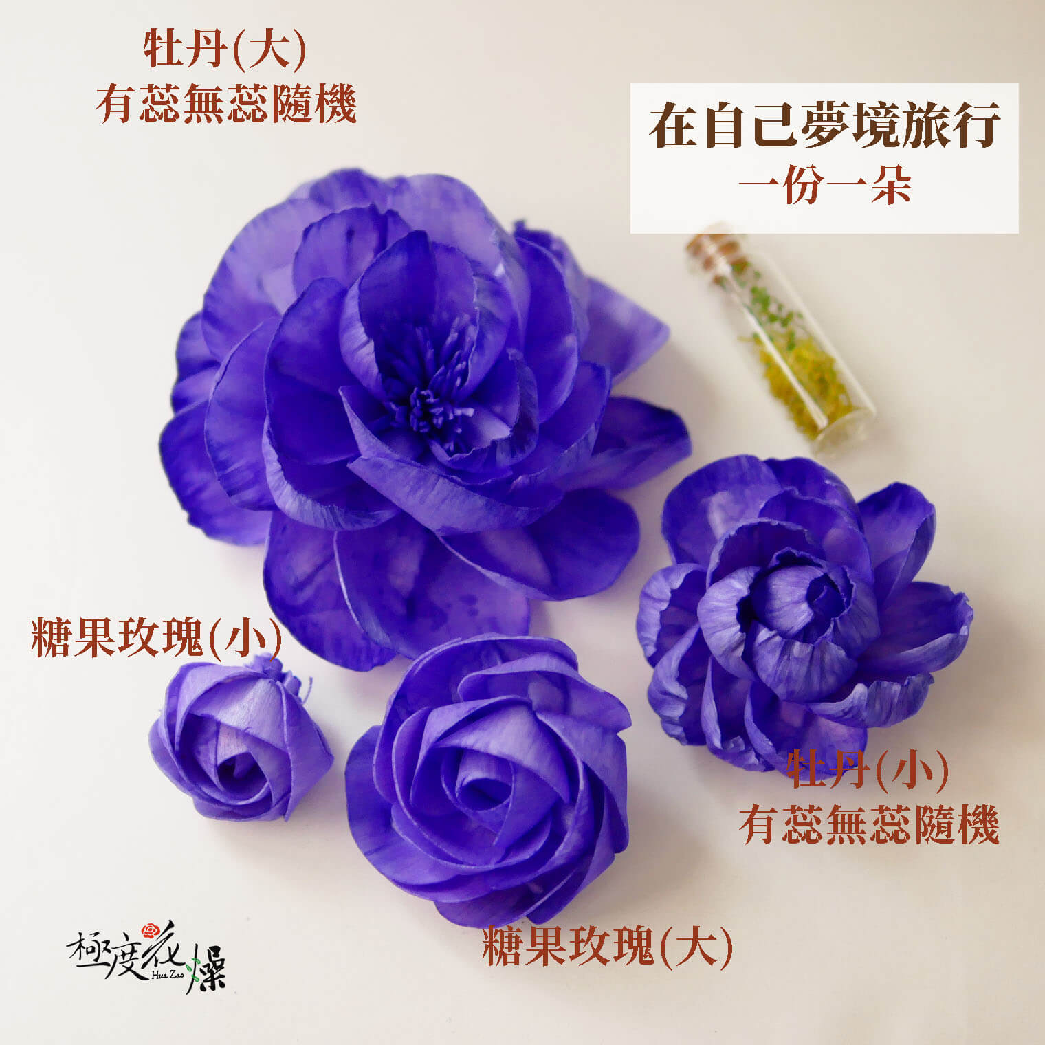 在自己夢境旅行_水染蓪草花