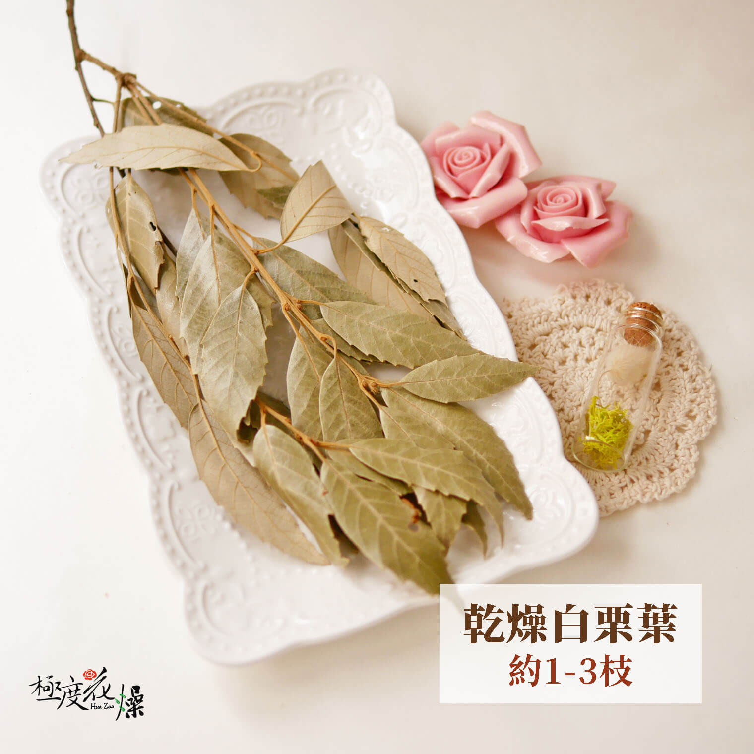 大乾燥_白栗葉 拷貝3421