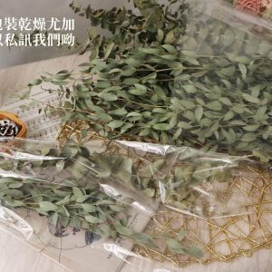 大包裝 _乾燥尖葉尤加利