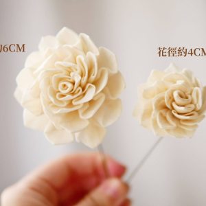 大小二_蓪草大理花 拷貝