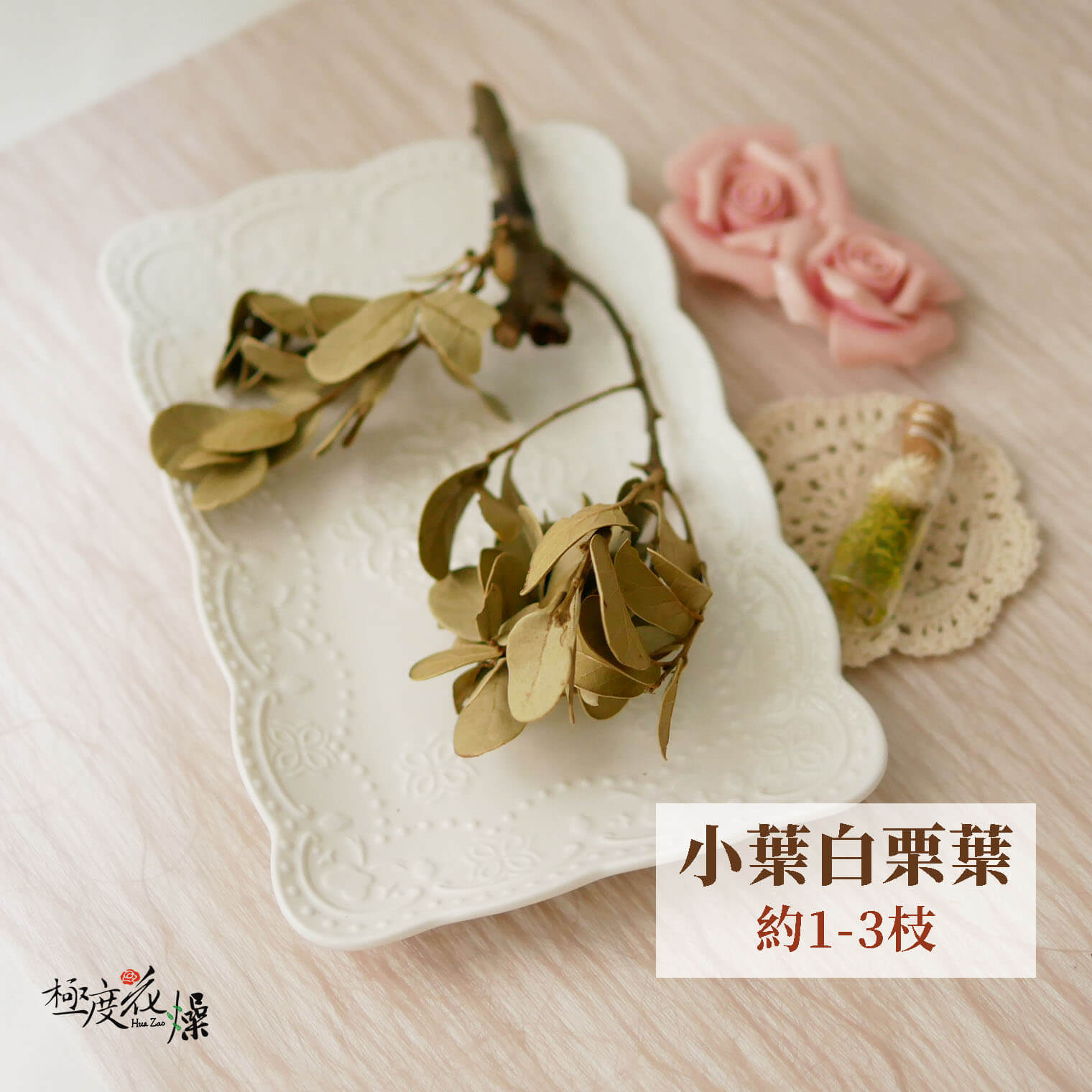 大小葉_白栗葉 拷貝3421