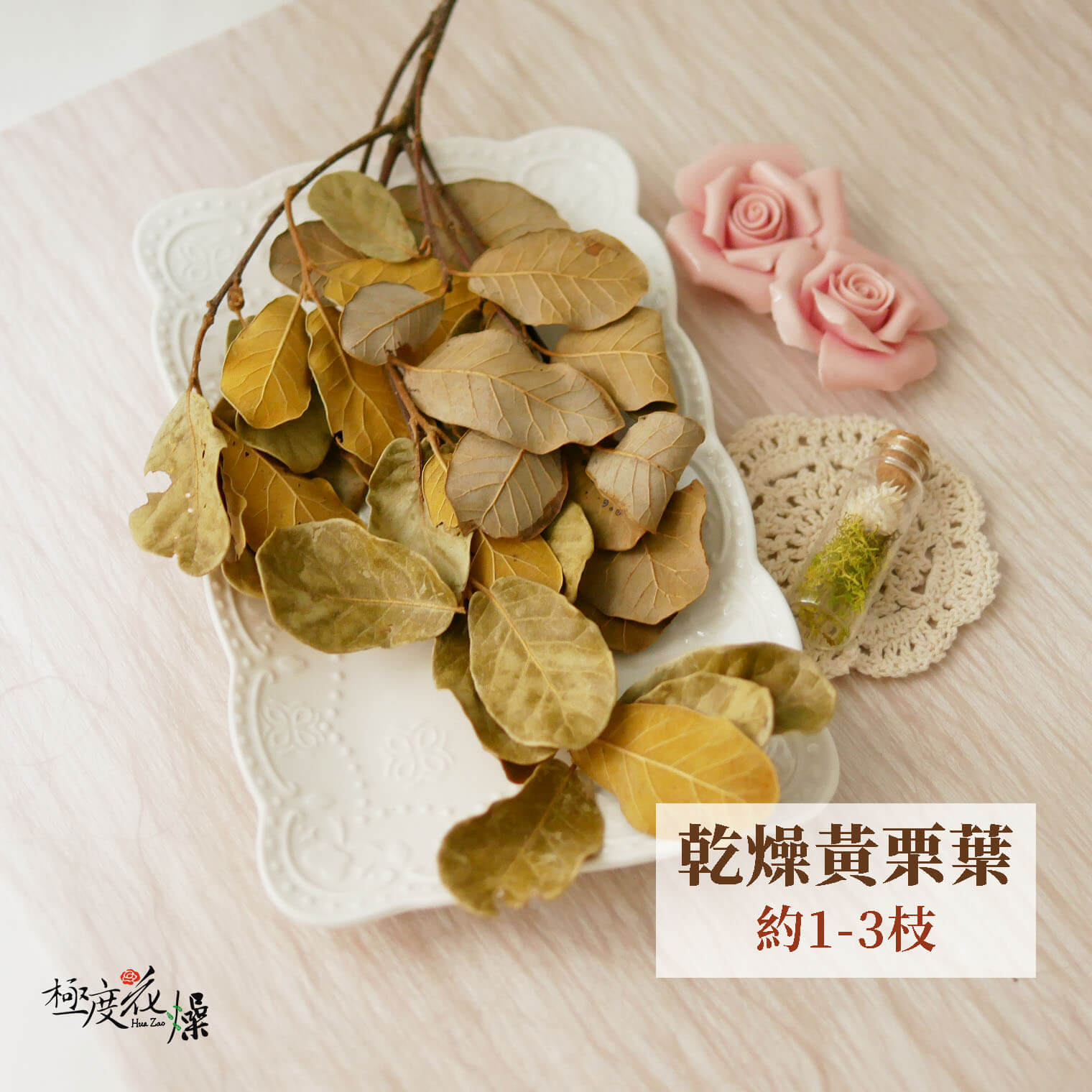 大黃栗_白栗葉 拷貝3421