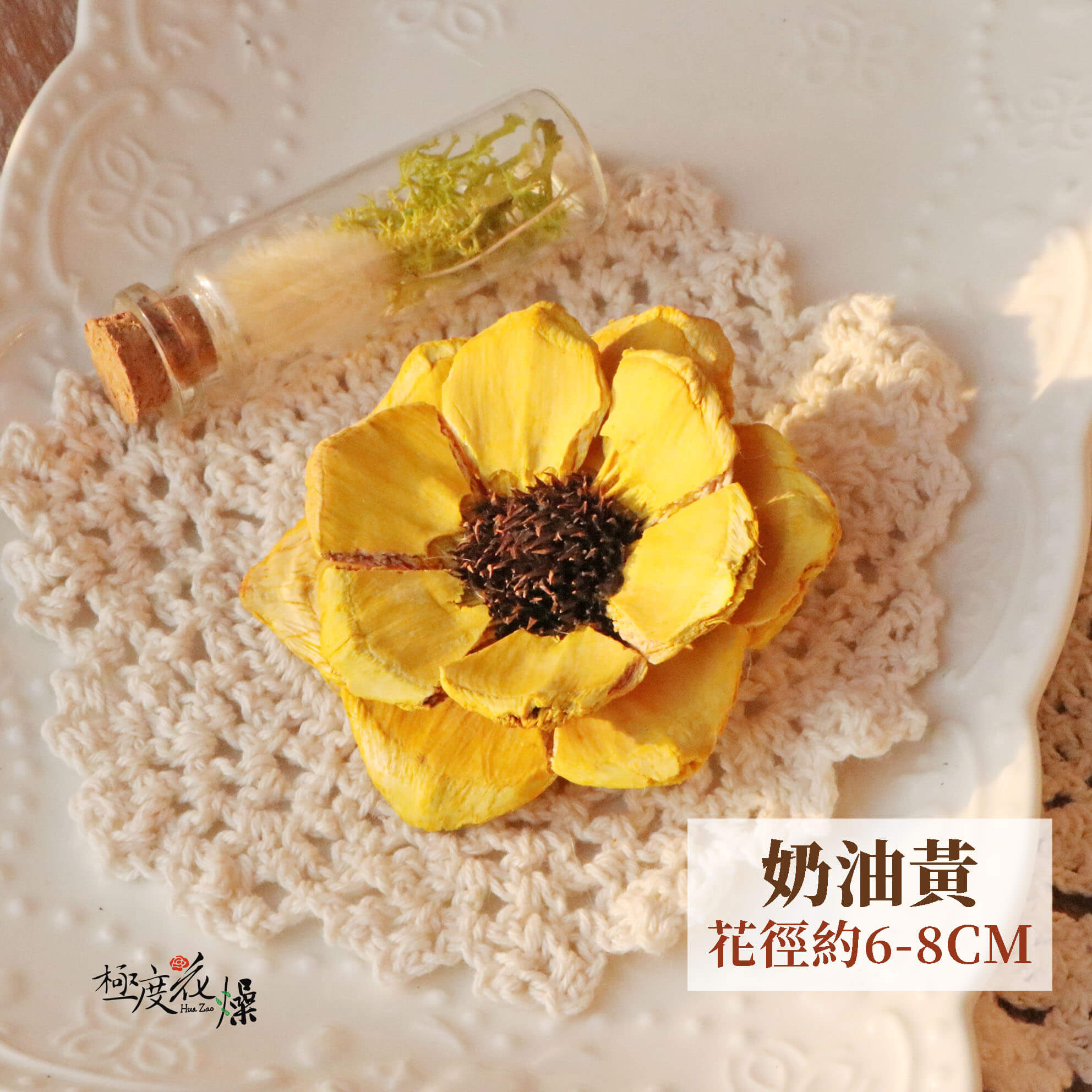 奶油黃 _松花