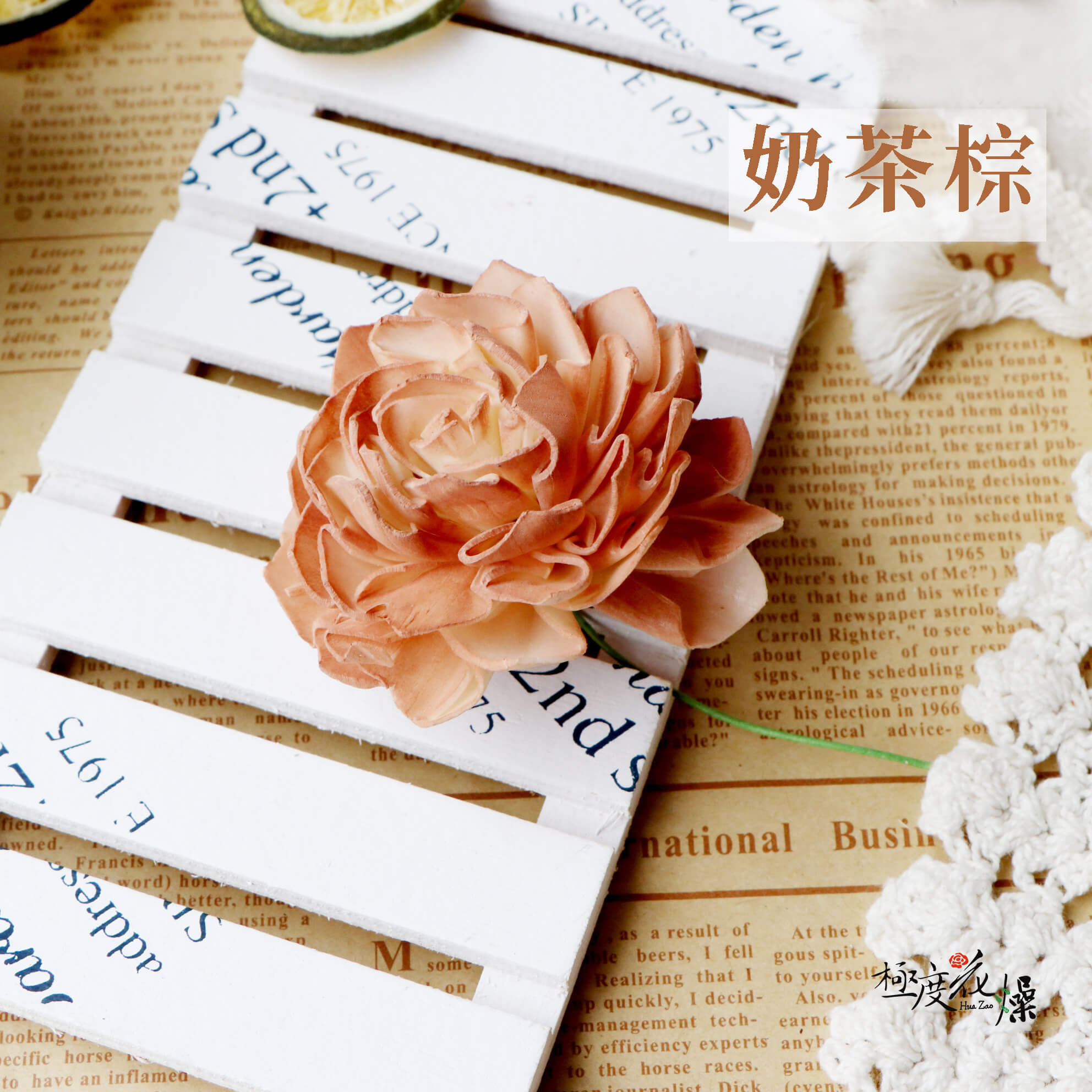 奶茶棕_大理花