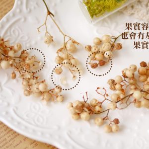 安全_巴西胡椒果